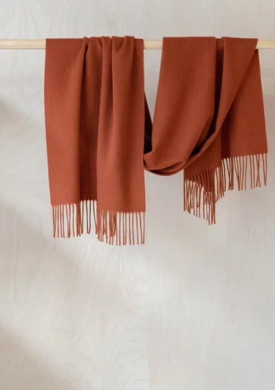 Tbco Lambswool Block Color Oversized Scarf In Brown