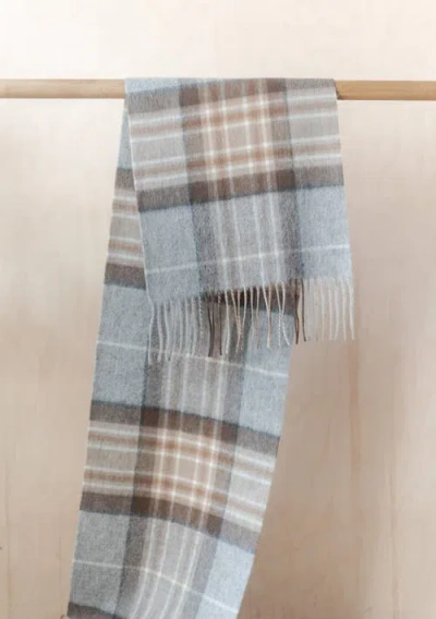 Tbco Lambswool Tartan Scarf In Blue