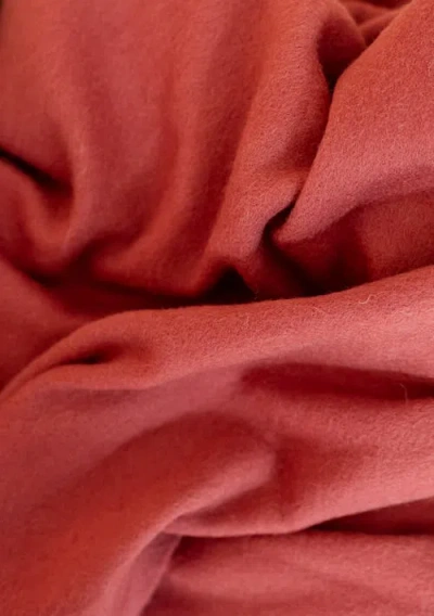 Tbco Lambswool Block Color Scarf In Pink