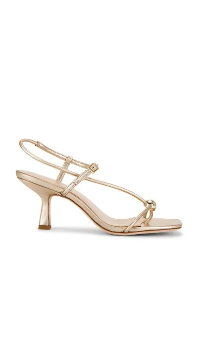 Loeffler Randall Triana Strappy Mid-heel Sandals With Ball Champagne In Neutral