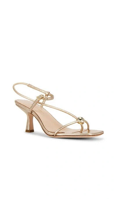 Loeffler Randall Triana Strappy Mid-heel Sandals With Ball Champagne In Neutral