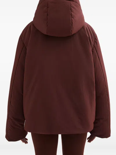 Jil Sander 06 Puffer Jackets Bordeaux In Burgundy