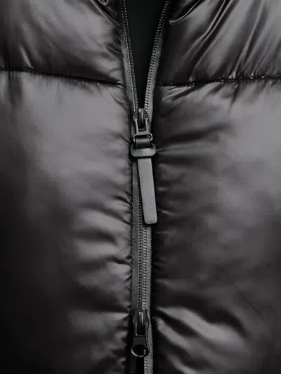 Joop High-neck Puffer Jacket In Black