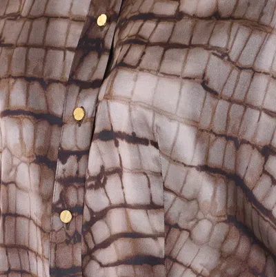 Elisabetta Franchi Python Print Shirt In Brown