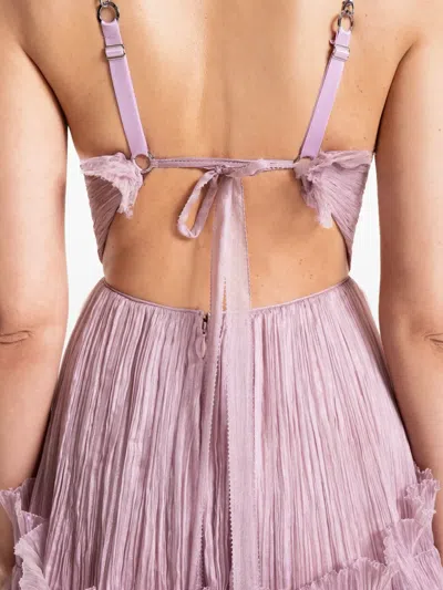 Maria Lucia Hohan Yarinna Ruffled Asymmetrical Dress In Pink