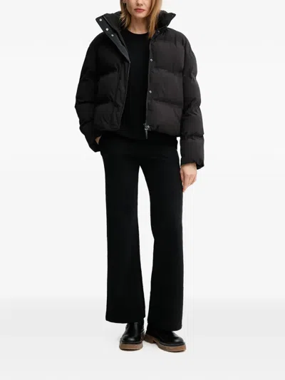 Joop Olimpia Padded Jacket In Black