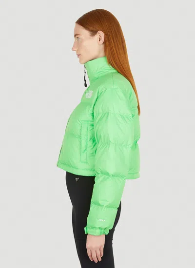 The North Face Feather Down High-neck Jacket In Multi