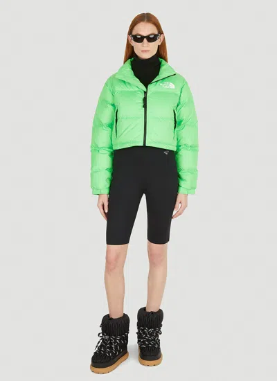 The North Face Feather Down High-neck Jacket In Multi
