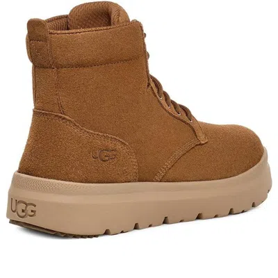 Ugg Burleigh Boot 'chestnut' In Brown