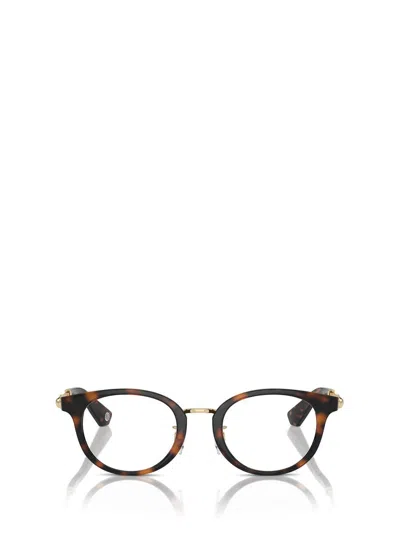 Burberry Eyeglasses In Brown