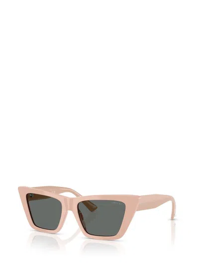 Jimmy Choo 53mm Cat Eye Sunglasses In Pink