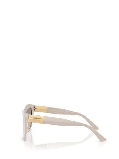 Jimmy Choo Womens Jc5031 Cat-eye-frame Acetate Sunglasses Grey In Neutral