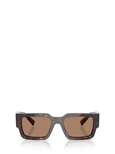 Prada Acetate Rectangular Sunglasses In Brown