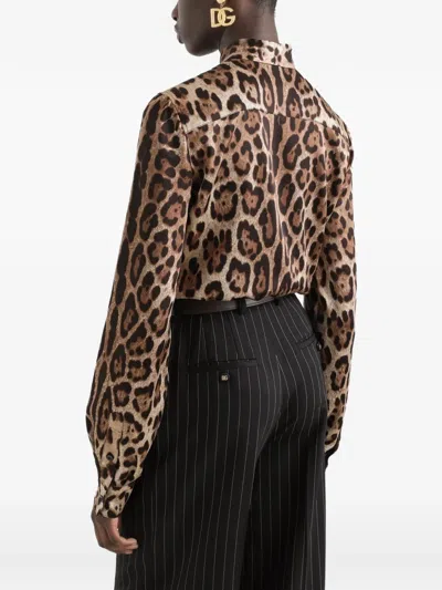 Dolce & Gabbana Leopard-print Blouse In Multi