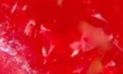 Solar Eclipse Heart Claw Clip In Red