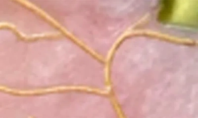 Solar Eclipse Rose Charm Key Chain In Pink