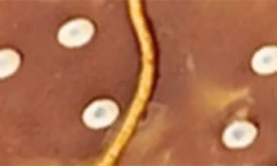 Solar Eclipse Hand-painted Pretzel Bag Charm & Keychain In Brown