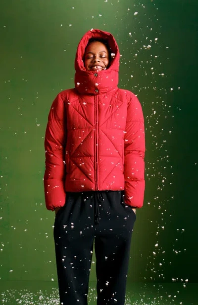 Sam Edelman Cropped Puffer Jacket In White