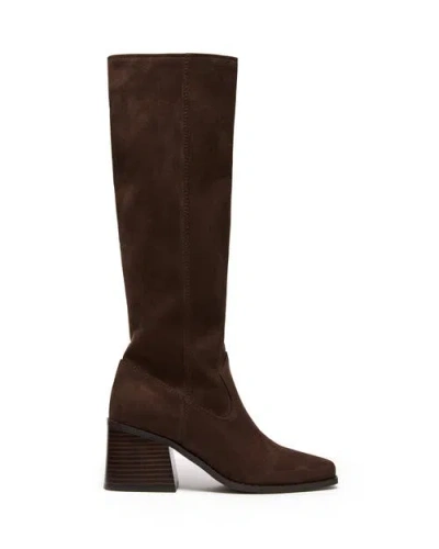 Therapy Australia Quinn Square Toe Block Heel Tall Boot In Brown