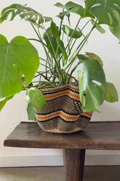 Mbare Handwoven Wave Basket In Multi