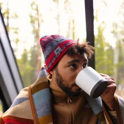 Turtle Fur Lars Merino Wool Beanie In Multi