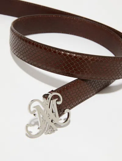 Maxco. Logo Belt In Brown