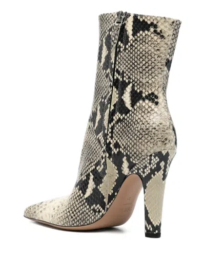 Paris Texas Belle Snakeskin Pointed Ankle Boot In Neutral