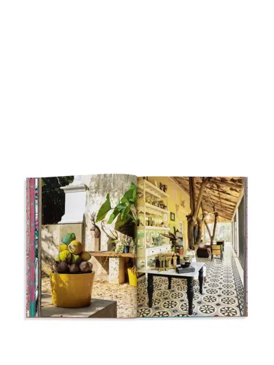 Vendome 'inside Yucatán: Hidden Merida And Beyond' Book In Multi
