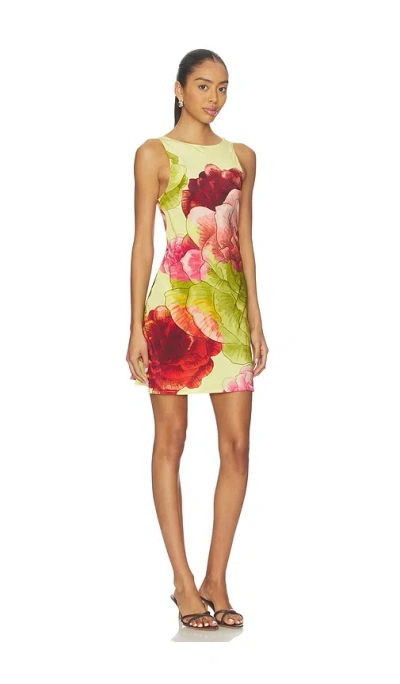 Muma World Taif Electra Mini Dress In Multi