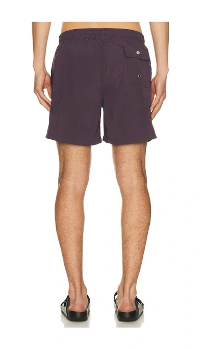 Bather Solid Classic Swim Trunk In Purple