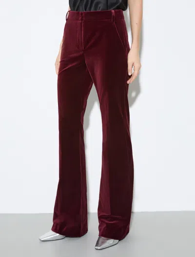 Maxco. Flared Casual Pants In Burgundy