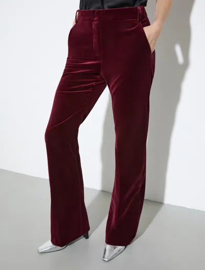 Maxco. Flared Casual Pants In Burgundy