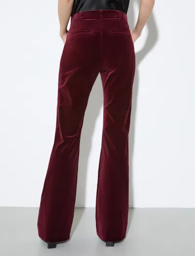 Maxco. Flared Casual Pants In Burgundy