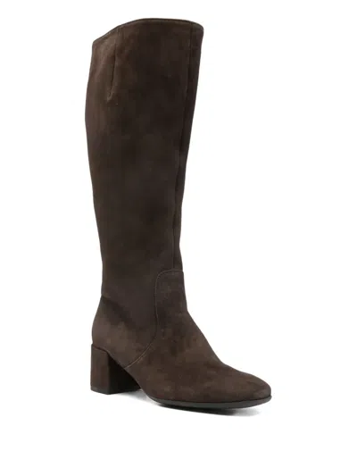Gabor Knee High Boot In Brown