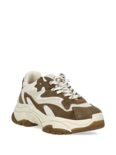 Ash Paneled Sneakers In Brown