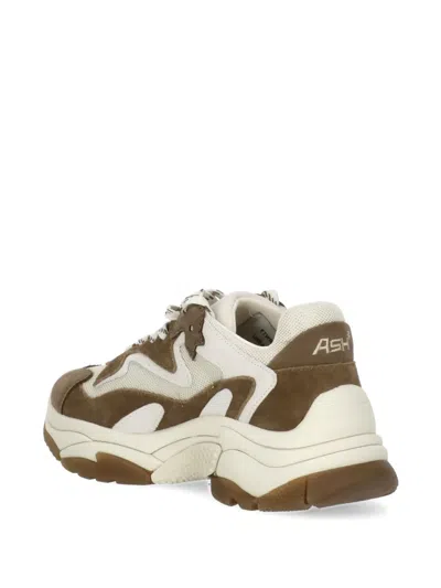 Ash Paneled Sneakers In Brown