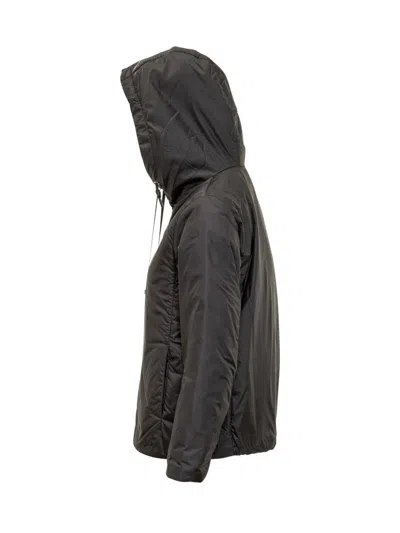 Max Mara The Cube Max Mara Black Short Down Jacket With Hood In Black