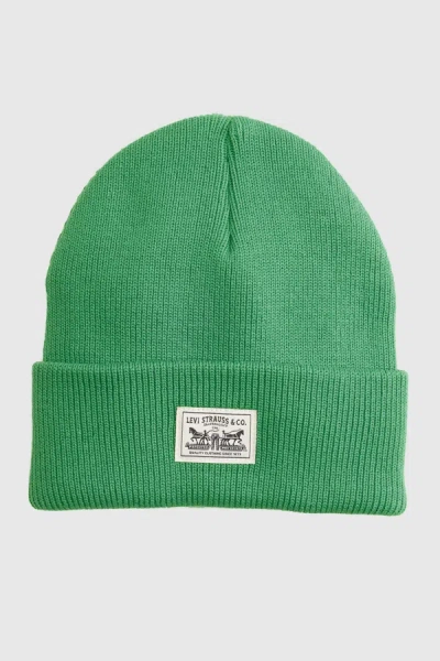 Levi's Backpatch Beanie In Green