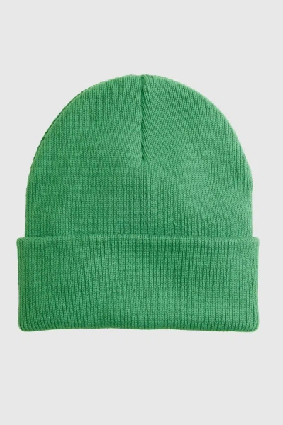 Levi's Backpatch Beanie In Green
