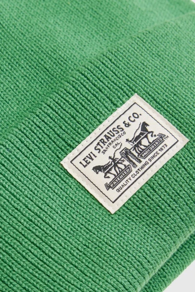 Levi's Backpatch Beanie In Green