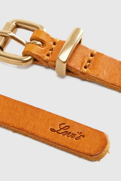 Levi's Dillon Narrow Belt In Brown