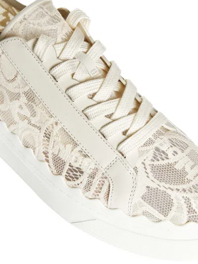 Chloé Lace Lauren Low-top Sneakers With Pull Tab In White