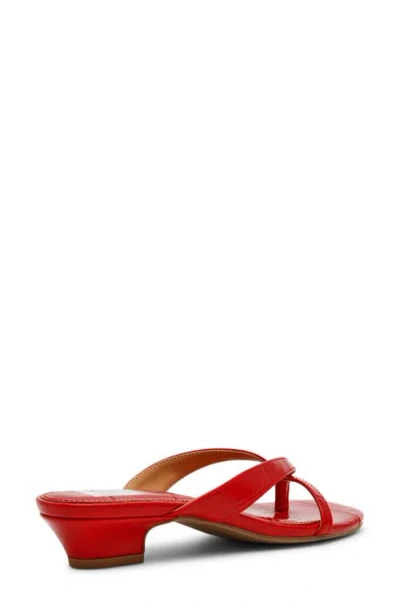 Dolce Vita Dv By  Bex Kitten Heel Sandal In Red