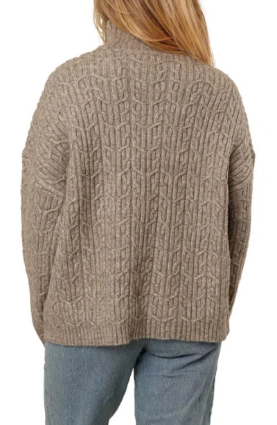 Cyrus Turtleneck Oversize Sweater In Brown
