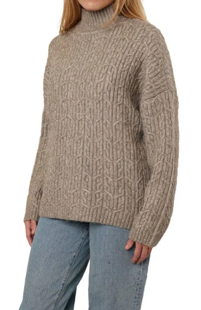 Cyrus Turtleneck Oversize Sweater In Brown
