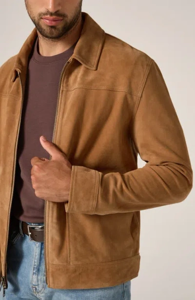 7 Diamonds Suede Flight Jacket In Brown