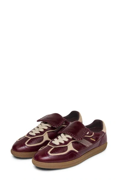 Alohas Tb.490 Club Patent Deep Burgundy Leather Sneakers In Brown