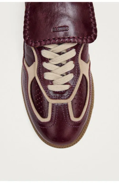 Alohas Tb.490 Club Patent Deep Burgundy Leather Sneakers In Brown