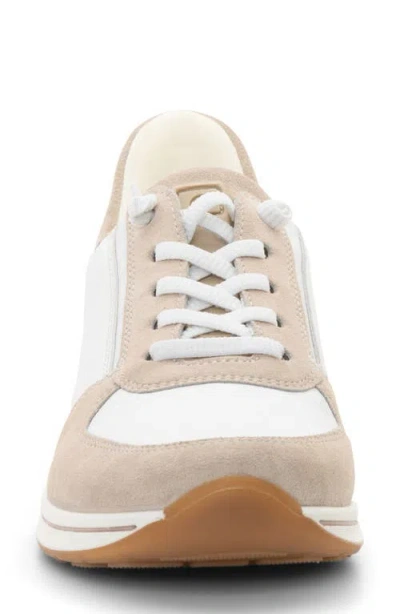 Ara Ovation Sneaker In Neutral