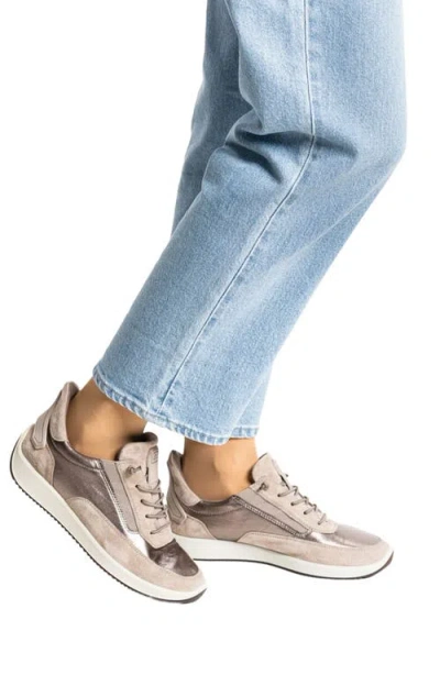 Ara Lysa Low Top Sneaker In Brown